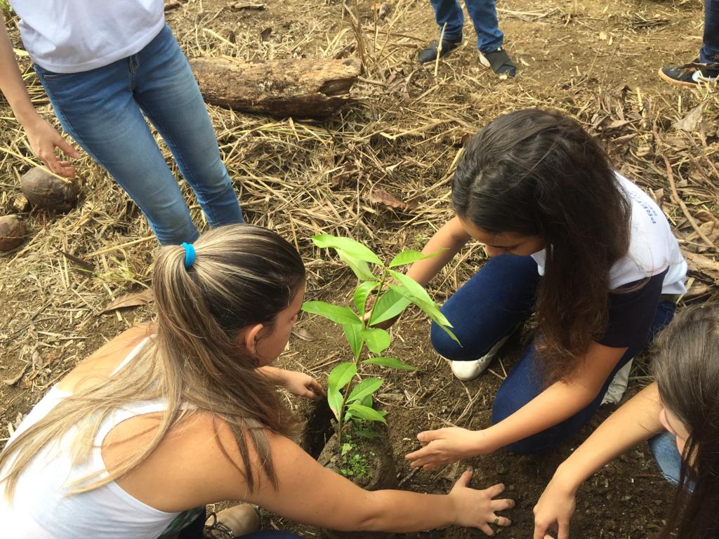 Semana Diversas A Es Para Comemorar Dia Da Rvore Em Anchieta