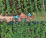 ESG: preocupação de sustentabilidade também chega no agronegócio