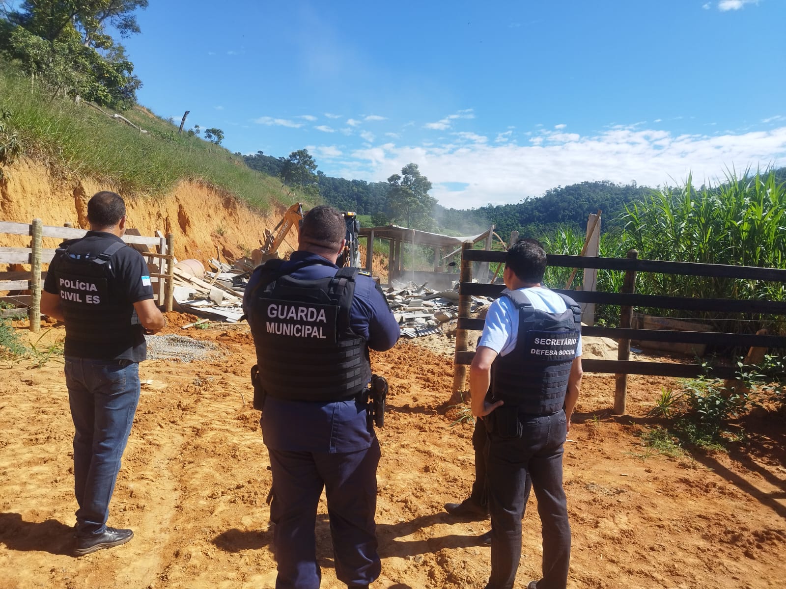 A Gazeta  Abatedouro clandestino vendia carne de cavalo como se