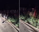 Motorista fica ferido após carreta perder o freio e tombar em Castelo
