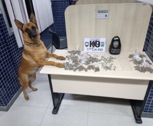 Polícia Militar apreende maconha, cocaína e crack na Grande Vitória Apreensão de drogas