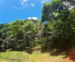 Dores tem Parque Municipal aprovado pelo Ministério do Meio Ambiente