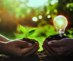 União de economia e sustentabilidade atrai empresas para o Mercado Livre de Energia