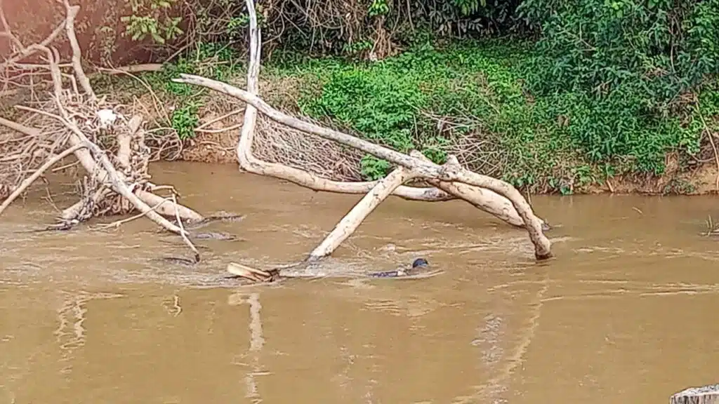 manequim dentro de rio