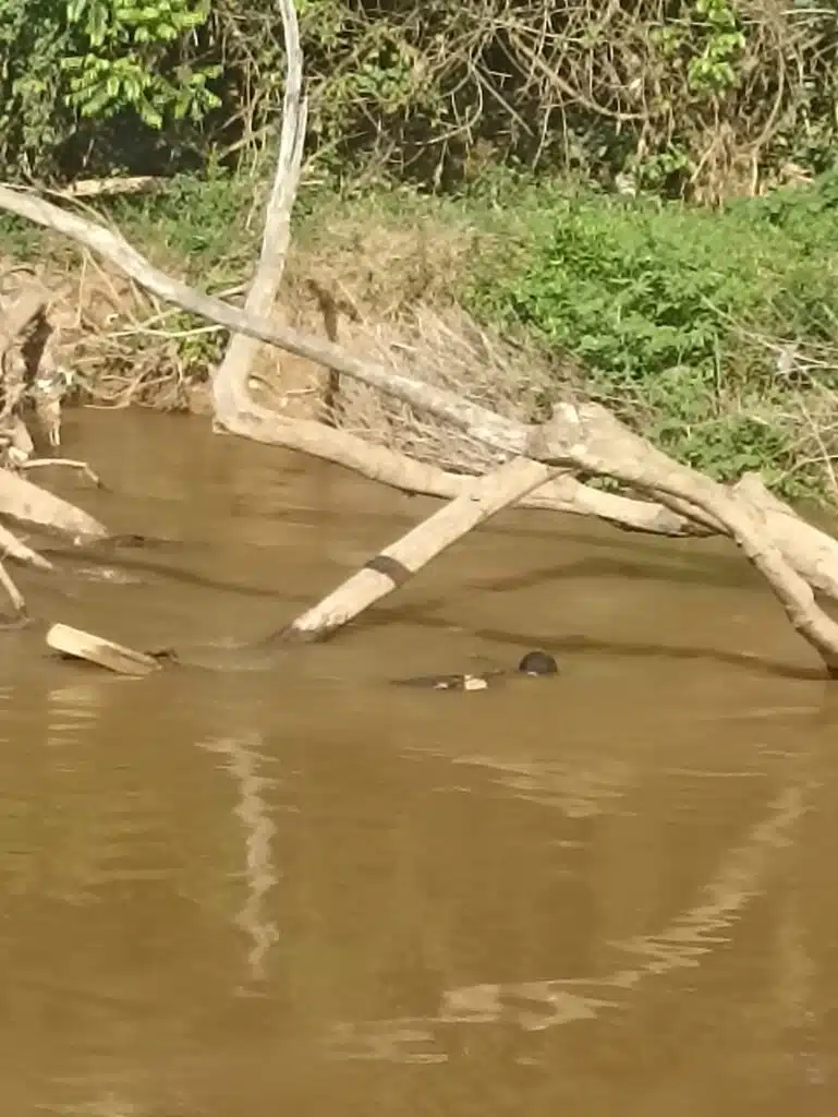manequim dentro de rio