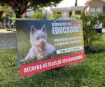 Mera educação: placas pedem que fezes de cachorros sejam recolhidas em Guaçuí