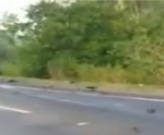 Vídeo: colisão deixa duas mulheres mortas e BR 101 interditada no ES