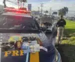 Falso policial civil é preso pela PRF na BR 101 com arma e veículo roubado