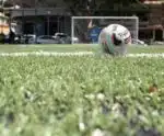Incrições para editais de projetos esportivos da prefeitura entram na reta final