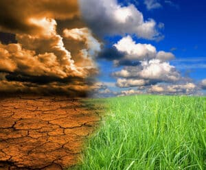 Sustentabilidade Capixaba: Vitória vai sediar maior evento sobre mudanças climáticas do Espírito Santo Sustentabilidade Capixaba