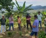 Projeto incentiva adoção de Sistemas Agroflorestais (SAF) em propriedades do ES