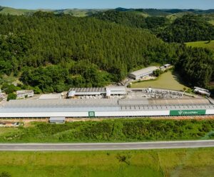 Bandes promove práticas ESG para empresas e fortalece o desenvolvimento sustentável do ES Cajugram 1 Bandes