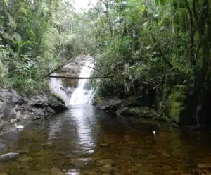 Confira 10 passeios para fazer durante o Festival de Inverno de Guaçuí