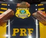 PRF prende homem que transportava 4,5 kg de maconha para Cachoeiro