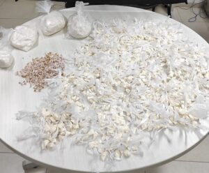 PM apreende mais de 1,2 mil papelotes de cocaína no Espírito Santo papelotes de cocaína apreendidos no ES