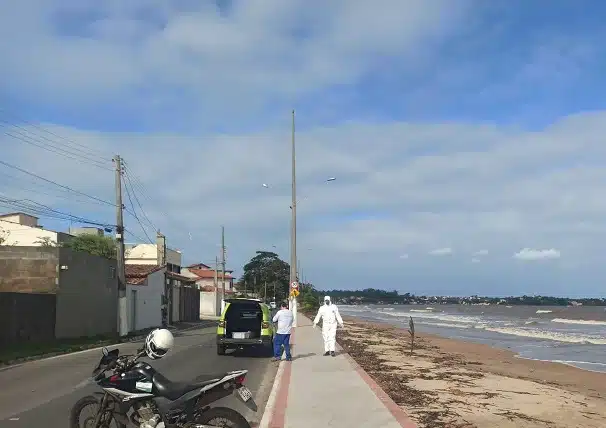 gripe aviária em Anchieta