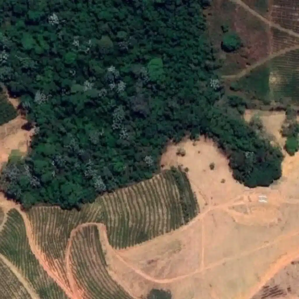 Polícia Militar realiza ações contra crimes ambientais em Muniz Freire e Ibitirama