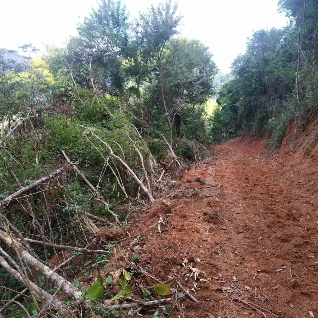 Polícia Militar realiza ações contra crimes ambientais em Muniz Freire e Ibitirama