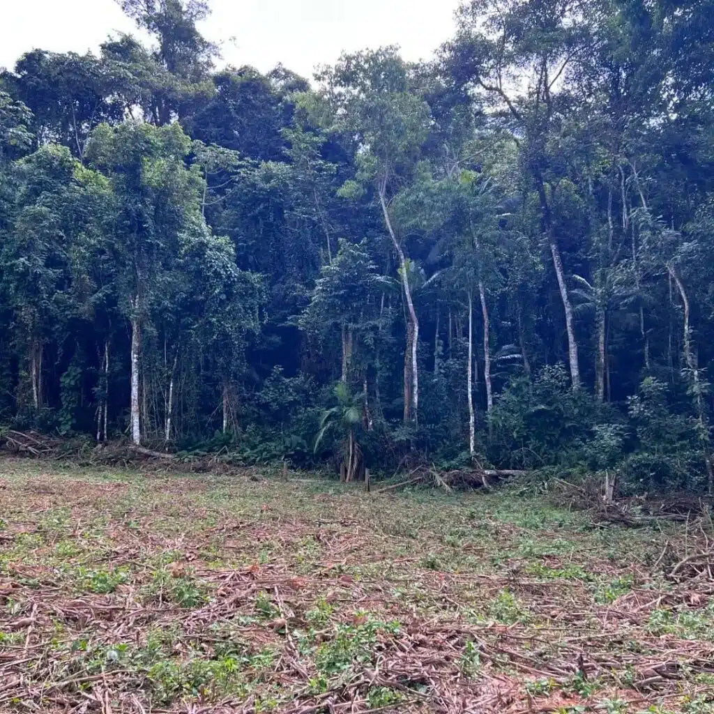 Polícia Militar realiza ações contra crimes ambientais em Muniz Freire e Ibitirama
