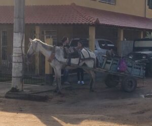 Idoso é morto com tiro na cabeça em carroça no interior de Guaçuí