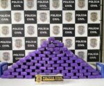 Polícia Civil apreende 50 quilos de maconha na Serra