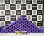 Polícia Civil apreende 50 quilos de maconha na Serra
