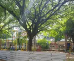 Parques urbanos de Vitória passam por reformas
