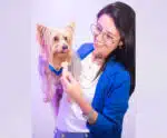 Petiscos naturais e saudáveis para Pets chamam atenção em Cachoeiro