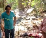 Prefeito de Muqui pede que Ibama retire onça pintada da região após ataques a animais