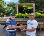 15 mil mudas de cacau serão entregues a agricultores de Anchieta