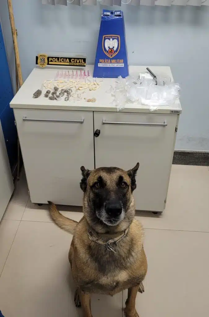 mesa cheia de drogas e cachorro a frente