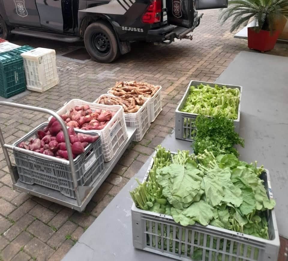 caixas cheias de verduras e hortaliças
