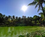 Parque da Mata Paludosa, antiga Fazendinha, é reaberto à visitação pública