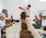 Cooperativas capixabas firmam compromisso na erradicação da pobreza