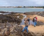 Gripe aviária: Marataízes realiza monitoramento de aves marinhas