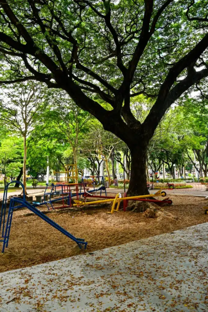 Parques de Vitória vão ganhar novos brinquedos acessíveis