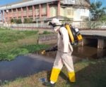Micro-organismo vai ajudar combater a dengue em Anchieta