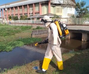 Combate à dengue em Anchieta