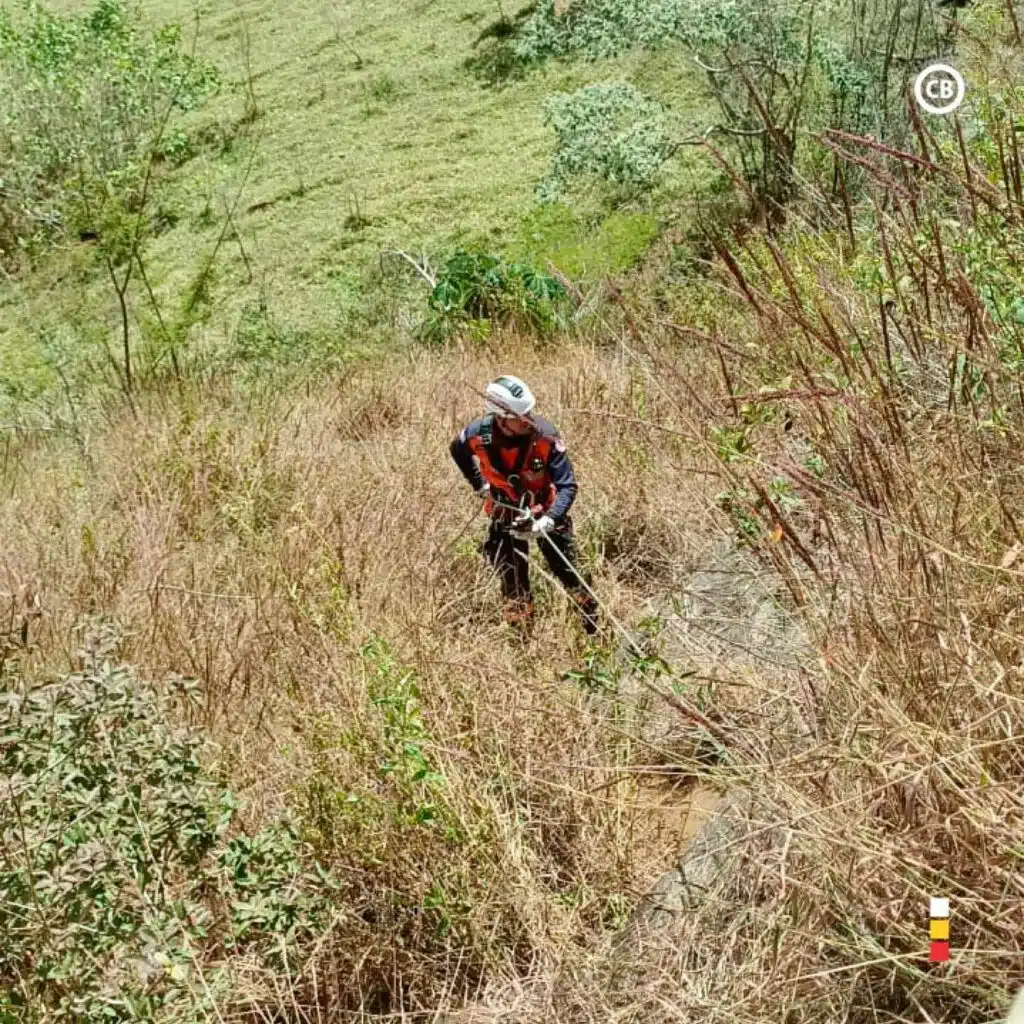 Bombeiros fazem escalada em local de difícil acesso para resgatar cães em Guaçuí