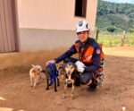 Bombeiros fazem escalada em local de difícil acesso para resgatar cães em Guaçuí