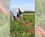 Senar lança campanha para mostrar exemplos de superação no campo