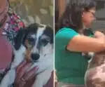 Cachorra com mais de 20 quilos é obrigada a parar de comer comida