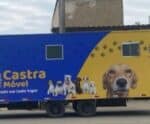 Controle populacional de animais de rua será tema de audiência pública