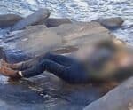 Homem vai à festa, desaparece e é encontrado morto dentro de rio em Muniz Freire