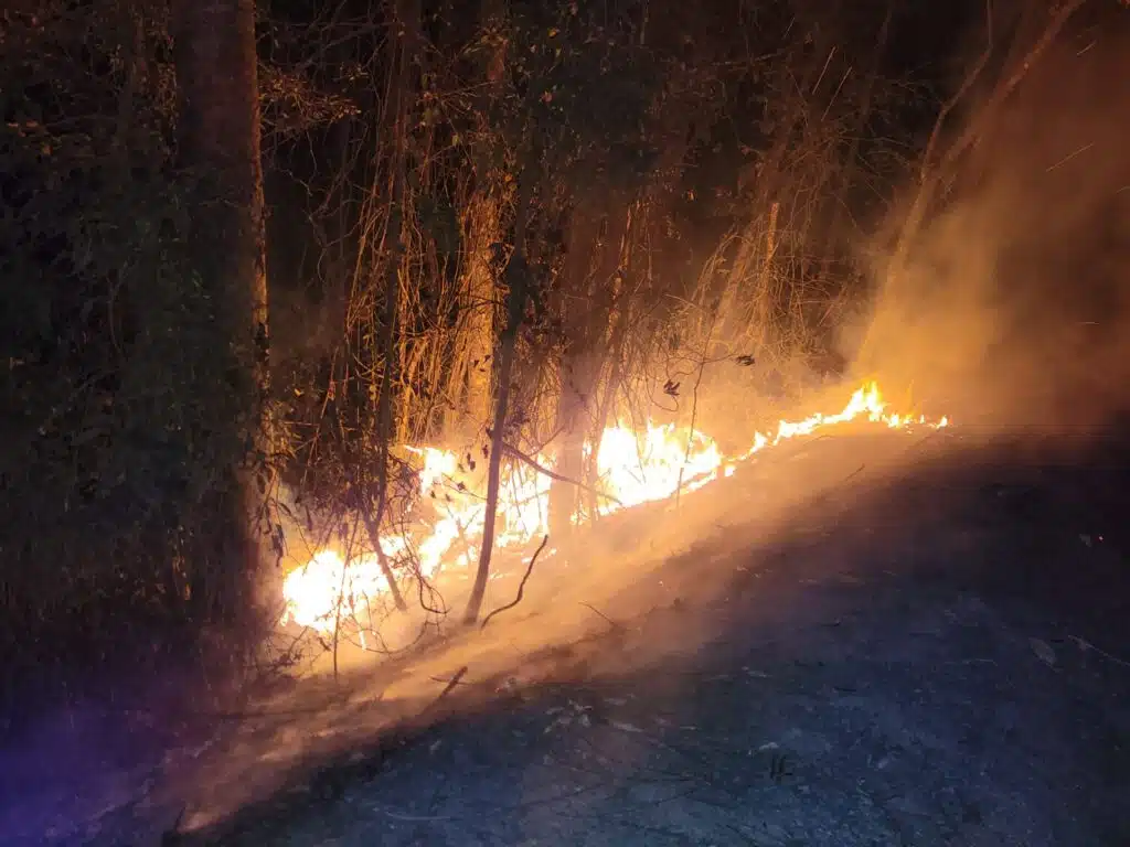 Acidente na BR 262, em Muniz Freire, deixa oito feridos