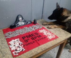 PM dá prejuízo ao tráfico após apreender quase 700 embalagens com drogas em Cachoeiro PM dá prejuízo ao tráfico após apreender quase 700 embalagens com drogas em Cachoeiro