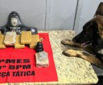 PM apreende crack e maconha e dá prejuízo ao tráfico em Cachoeiro