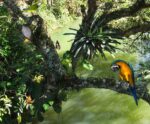 Meio Ambiente: a natureza está desaparecendo no Brasil