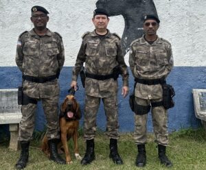 PM do ES recebe cão especializado em rastreamento de pessoas PM do ES recebe cão especializado em rastreamento de pessoas