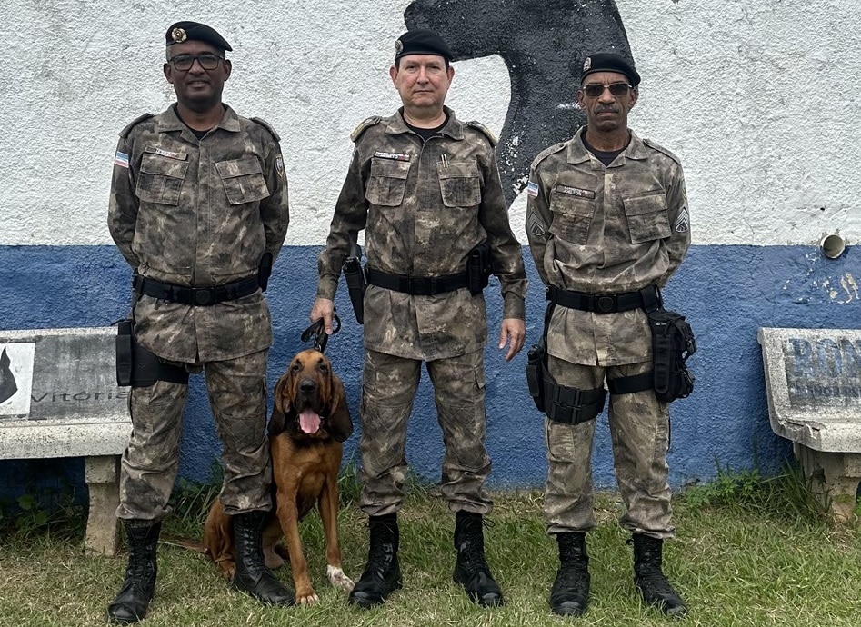 Foto: Polícia Militar Foto: Polícia Militar